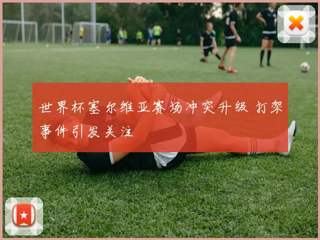 世界杯塞尔维亚赛场冲突升级 打架事件引发关注