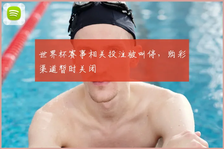 世界杯赛事相关投注被叫停，购彩渠道暂时关闭