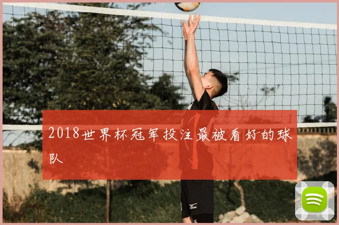 2018世界杯冠军投注最被看好的球队
