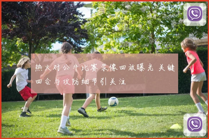 热火对公牛比赛录像回放曝光 关键回合与攻防细节引关注