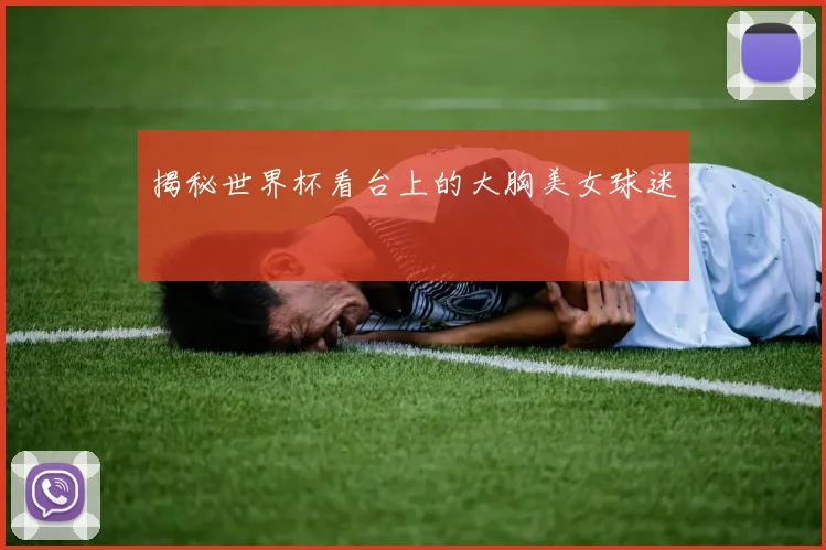 揭秘世界杯看台上的大胸美女球迷