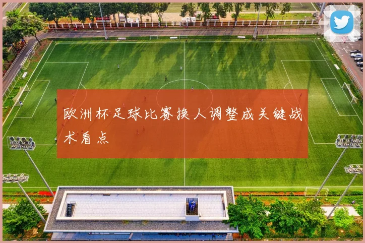 欧洲杯足球比赛换人调整成关键战术看点