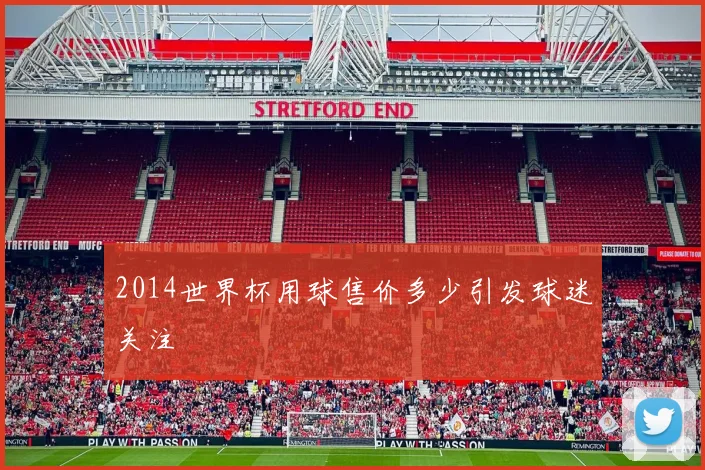 2014世界杯用球售价多少引发球迷关注