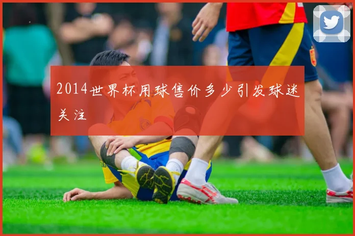 2014世界杯用球售价多少引发球迷关注