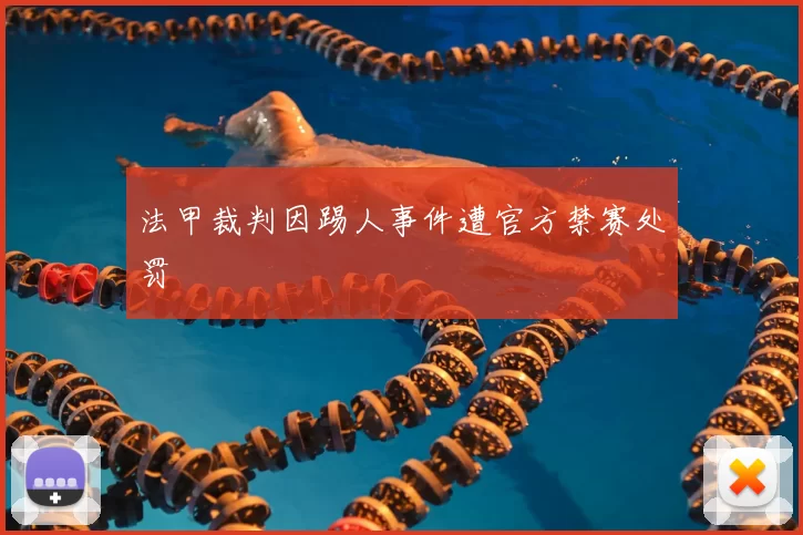 法甲裁判因踢人事件遭官方禁赛处罚