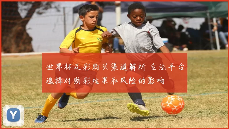 世界杯足彩购买渠道解析 合法平台选择对购彩结果和风险的影响