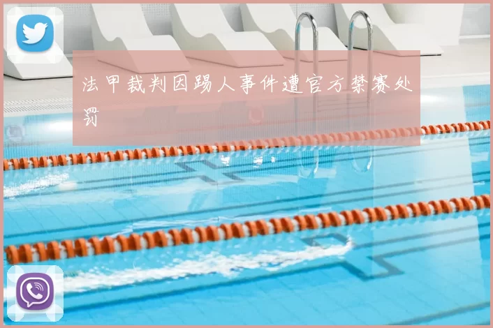 法甲裁判因踢人事件遭官方禁赛处罚