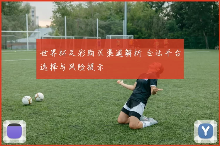 世界杯足彩购买渠道解析 合法平台选择与风险提示