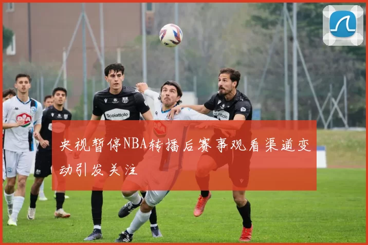 央视暂停NBA转播后赛事观看渠道变动引发关注