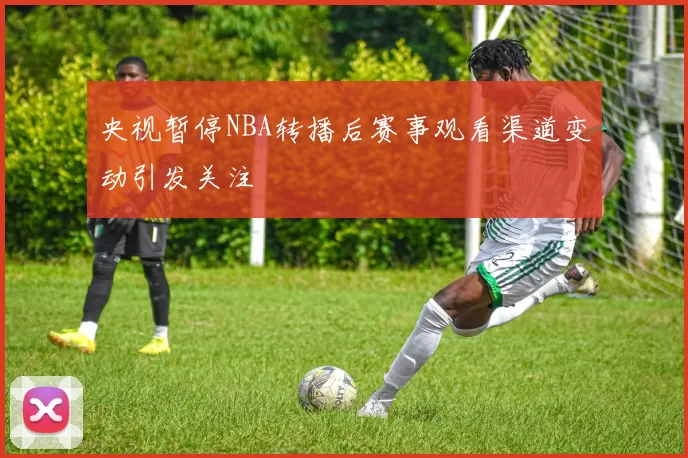 央视暂停NBA转播后赛事观看渠道变动引发关注