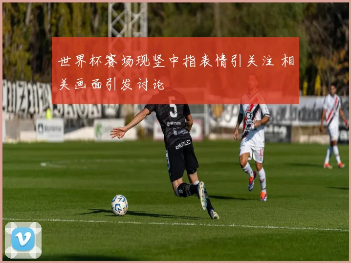世界杯赛场现竖中指表情引关注 相关画面引发讨论