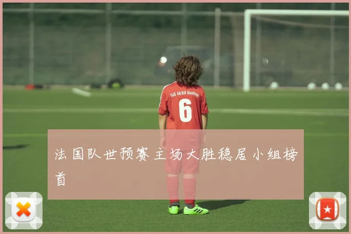 法国队世预赛主场大胜稳居小组榜首