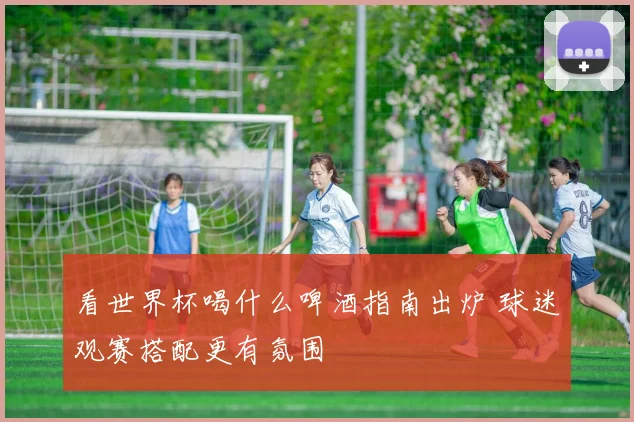 看世界杯喝什么啤酒指南出炉 球迷观赛搭配更有氛围
